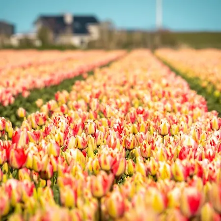 Holiday home Luxe Vakantielodge In Aan Zee