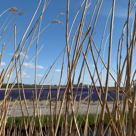 Luxe Vakantielodge In Aan Zee *